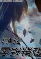 Fate—零毁鞘翅